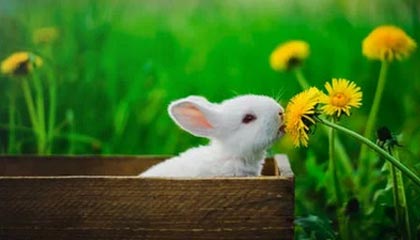 爱游戏在线-卡尔蒂斯进攻端火力全开，状态持续爆发