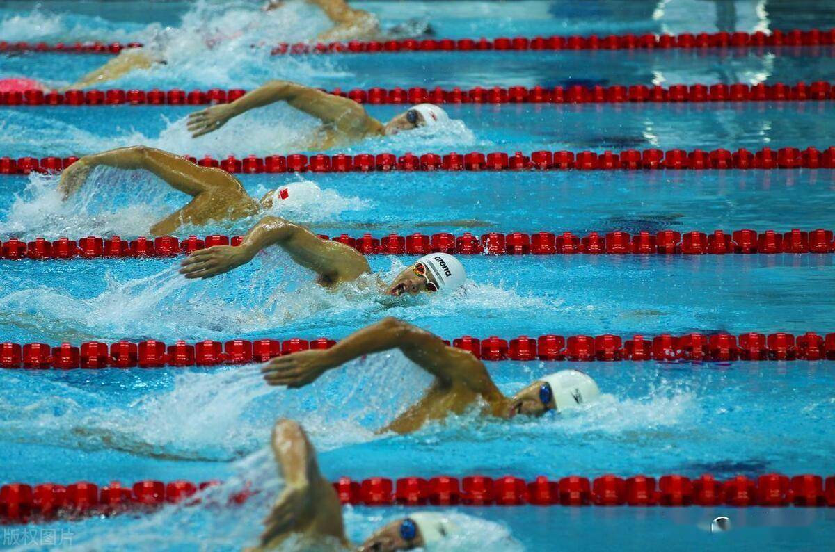 世界聚焦！游泳赛事全球收视创新高