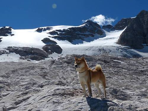 2026世界杯焦点战，火箭火力席卷绿茵，热火防线难阻攻势