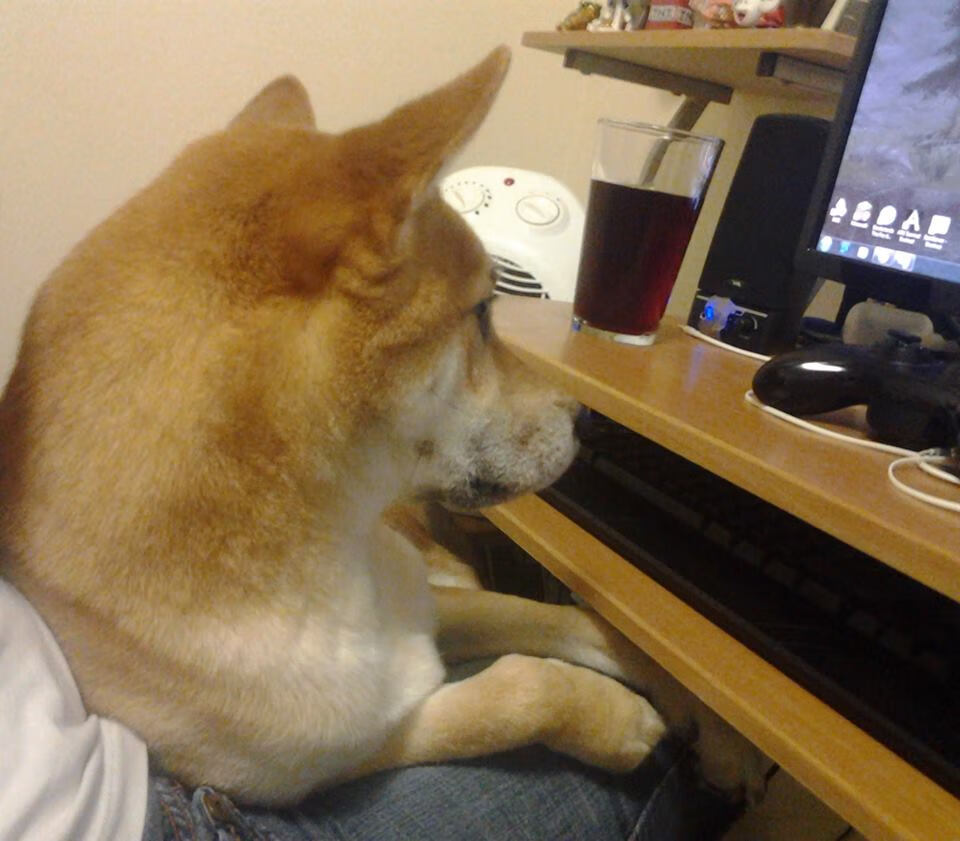 爱游戏入口-全球体育交响曲，NBA总决赛的璀璨与曼城在洪都拉斯的绿茵统治