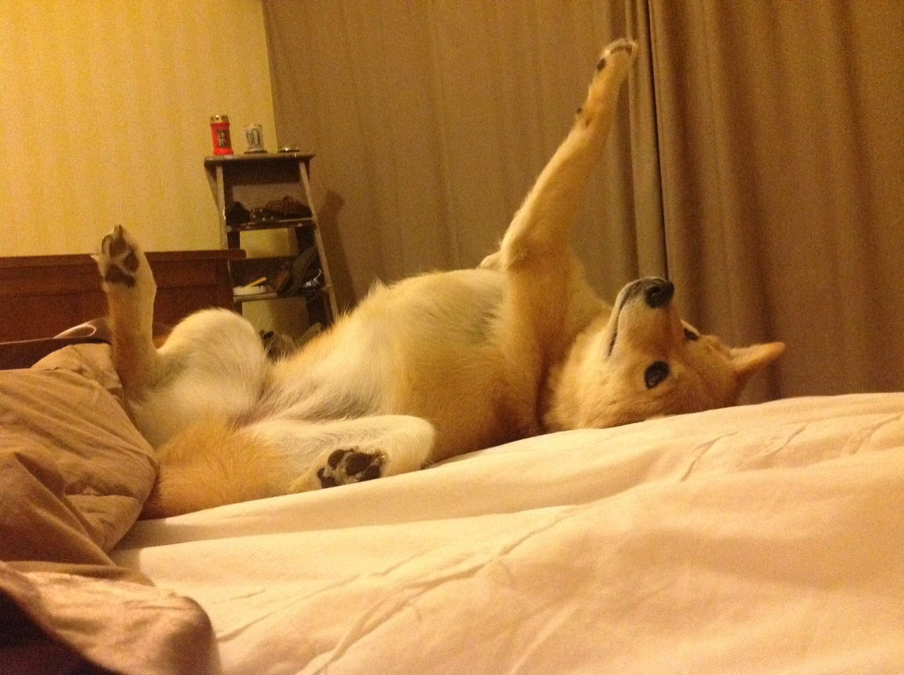 假面王朝，当欧冠决赛舞台闯入一支国家队