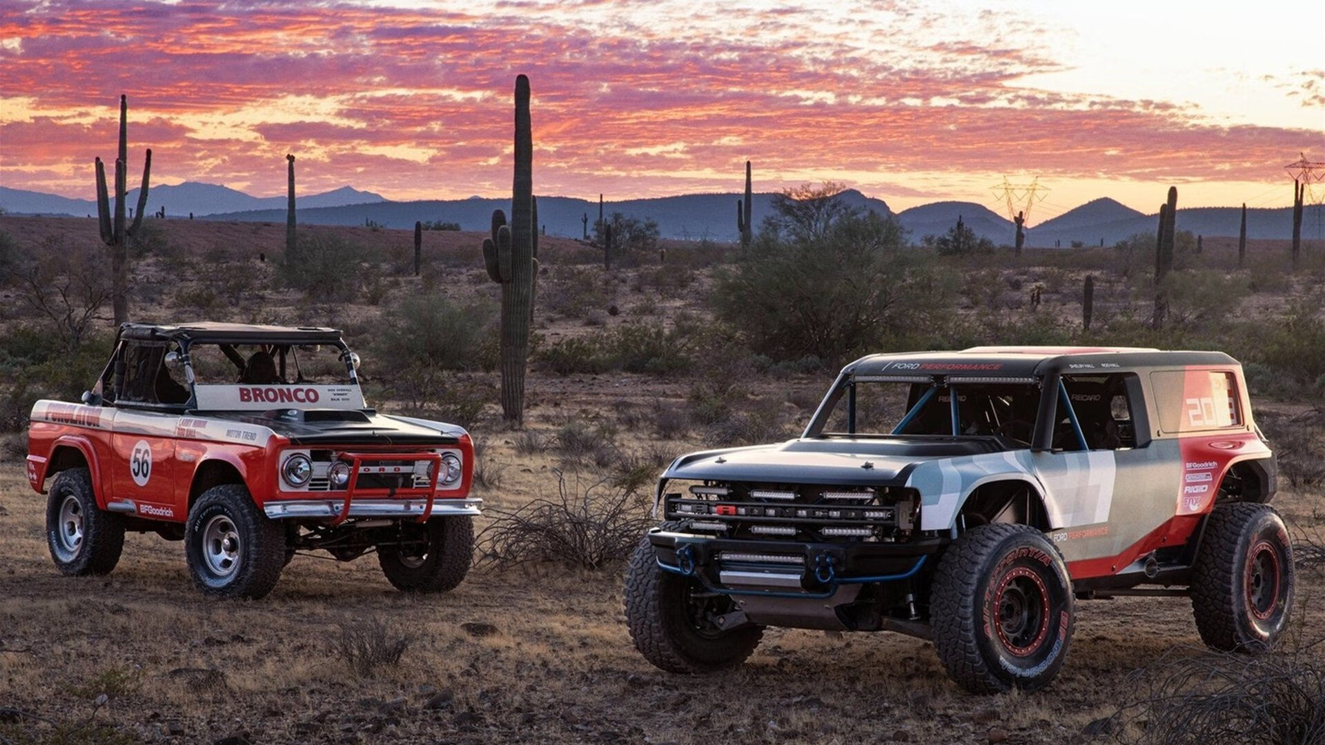 锡安稳如磐石掘金绝地翻盘，个人之力与团队之魂的篮球启示录